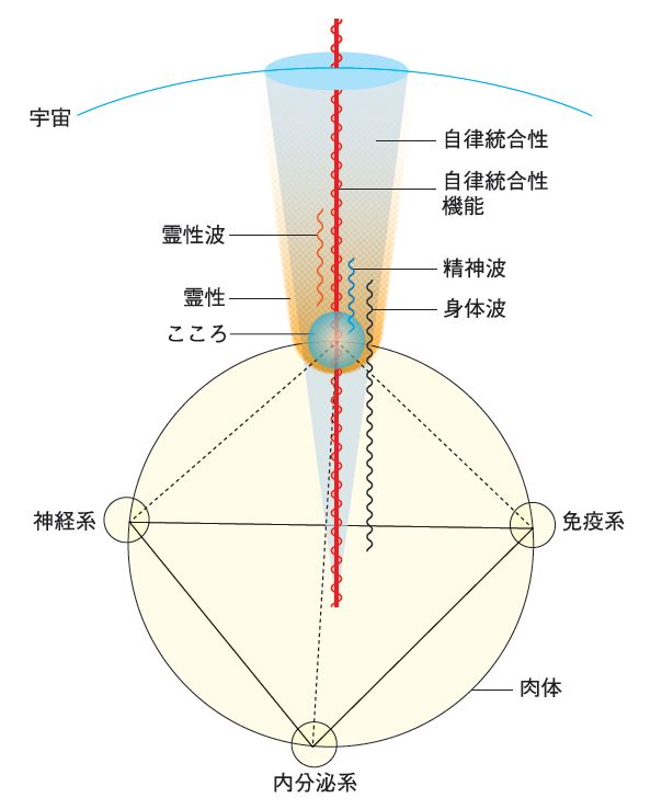 AIFモデル図