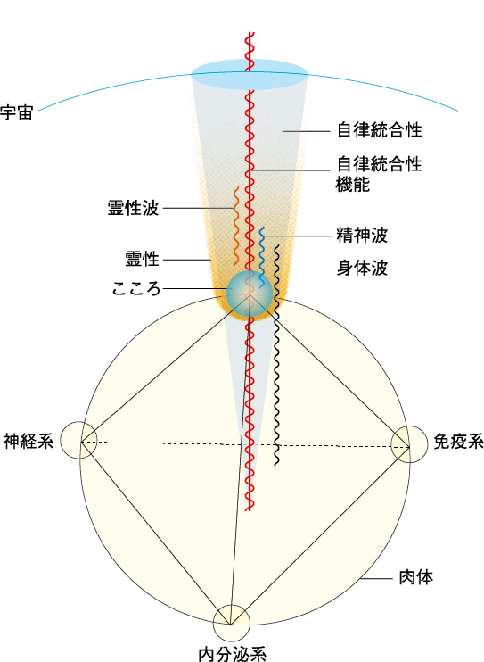 AIFの位置づけ